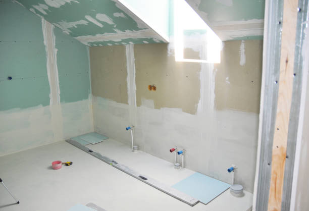 Best Forensic Mold Investigation  in Broadview, IL