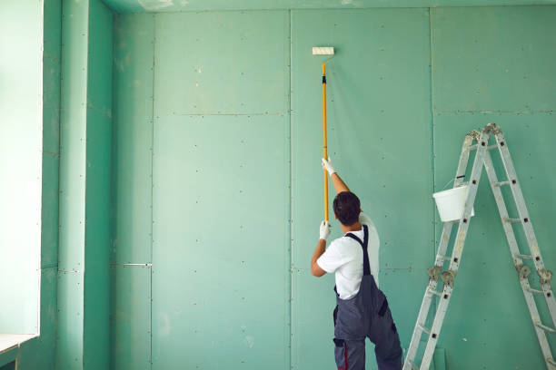 Best Airborne Mold Testing  in Broadview, IL