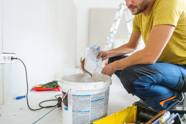 Broadview, IL Mold Removal Company