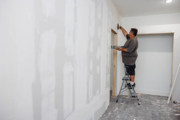 Best Biohazard Mold Removal  in Broadview, IL