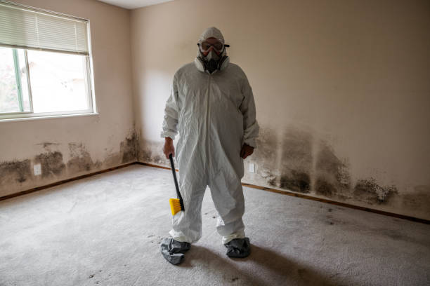 Best Post-Construction Mold Inspection  in Broadview, IL