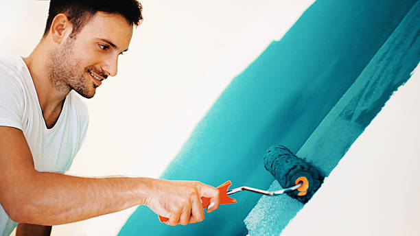Best Mold Damage Restoration  in Broadview, IL
